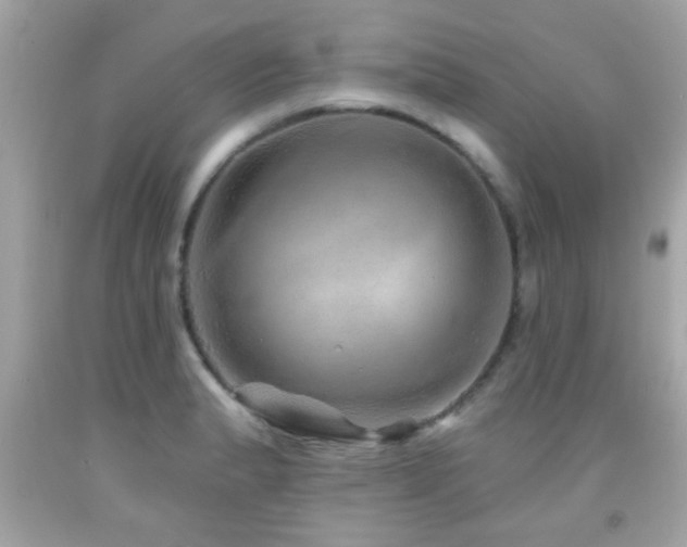 X0000092081183200709121438
