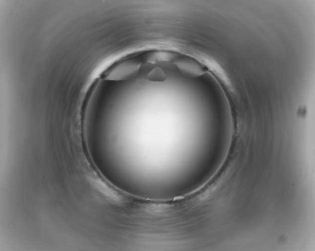 X0000092081184200709121438