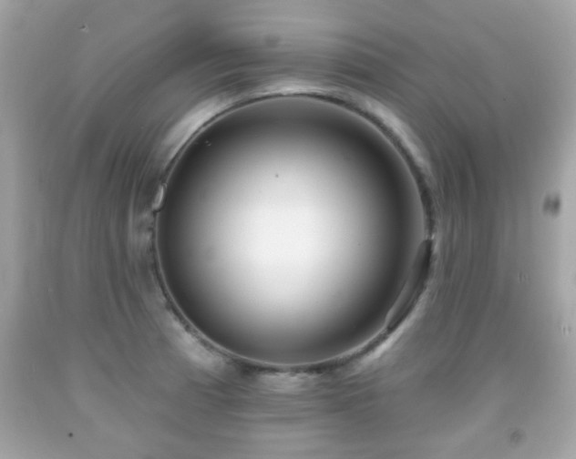 X0000092081185200709121438