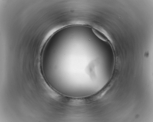 X0000092081187200709121438