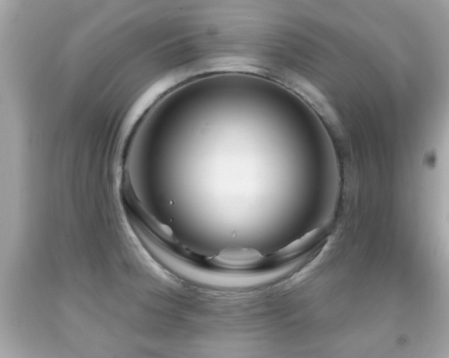 X0000092081188200709121438