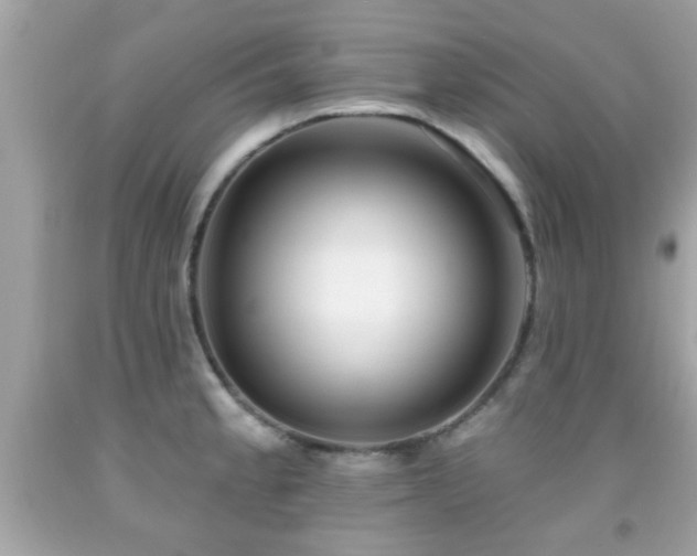 X0000092081189200709121438