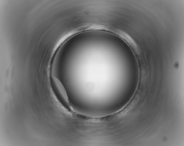 X0000092081190200709121438