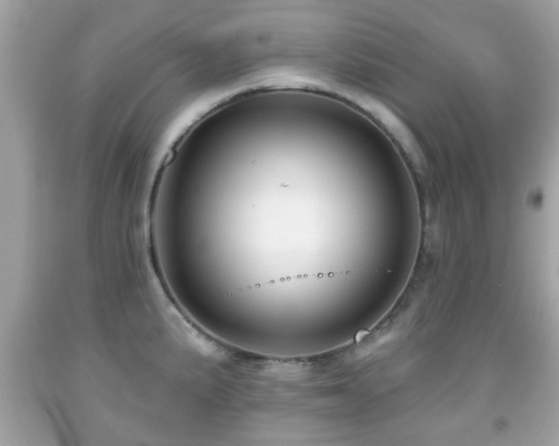 X0000092081191200709121438