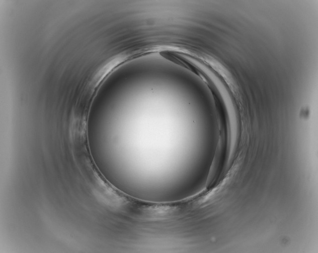 X0000092081193200709121438