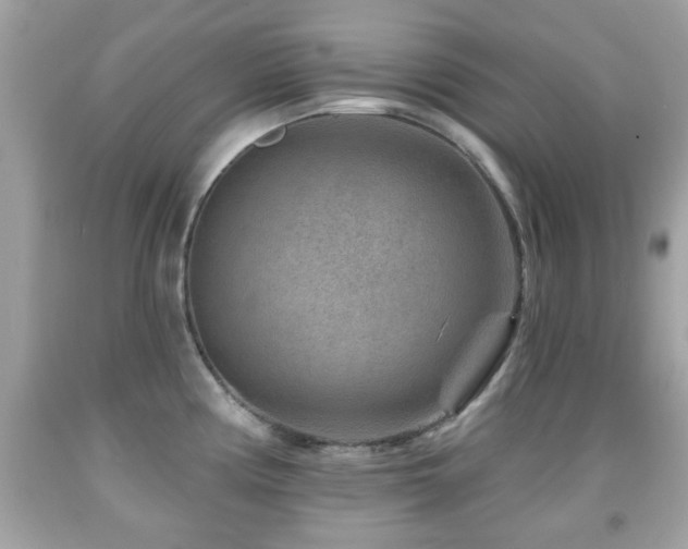 X0000092081194200709121438