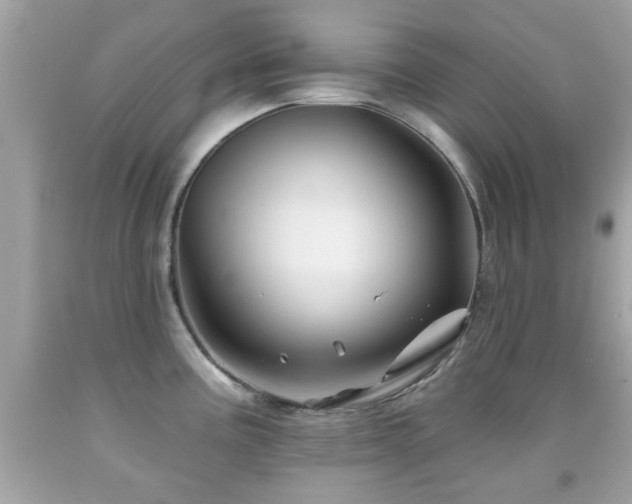 X0000092081195200709121438