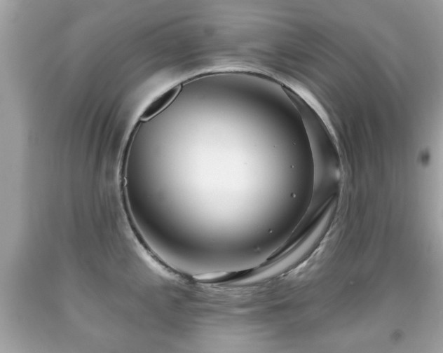 X0000092081197200709121438
