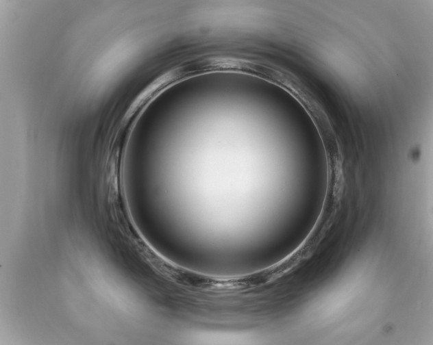 X0000092081198200709121438