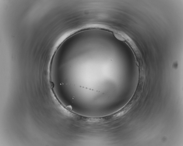 X0000092081199200709121438