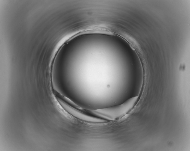 X0000092081200200709121438