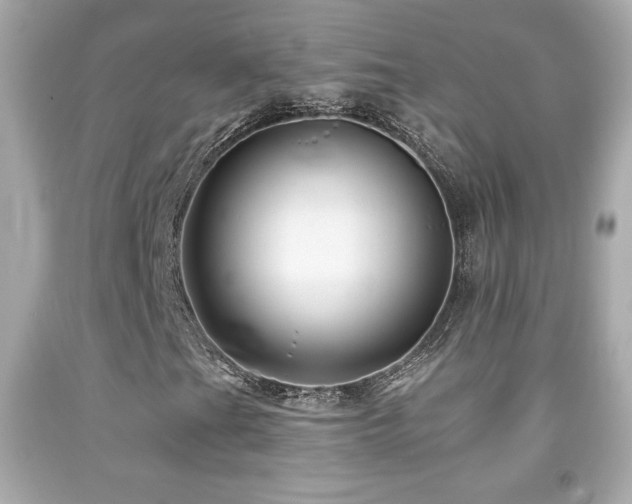 X0000092081201200709121437