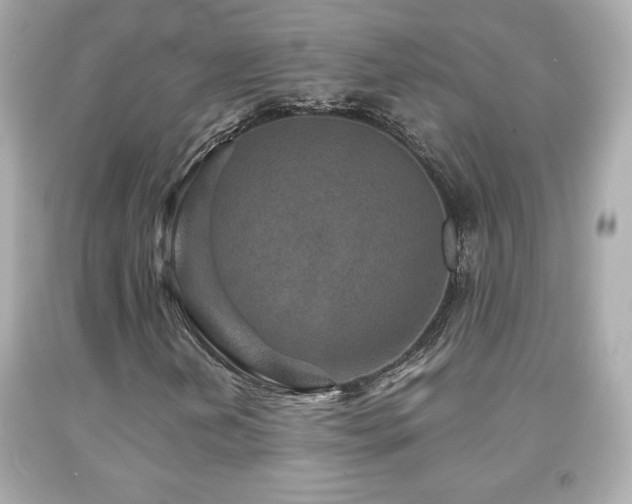 X0000092081202200709121437