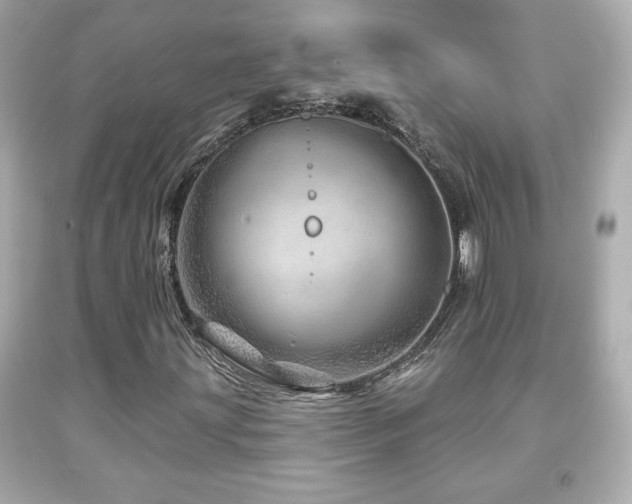 X0000092081203200709121437