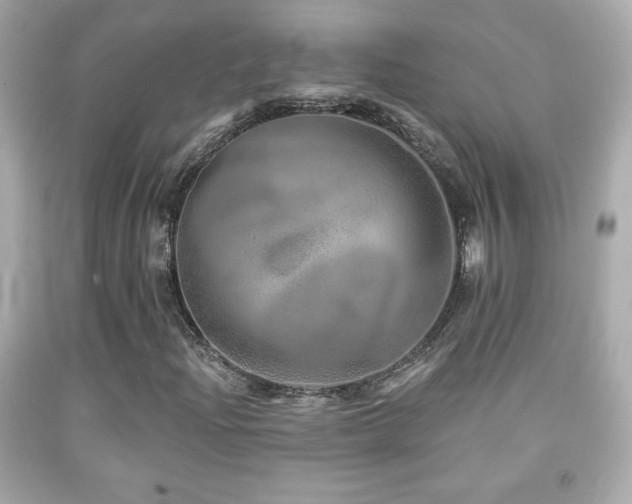 X0000092081204200709121437