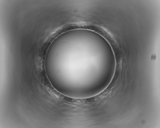 X0000092081205200709121437