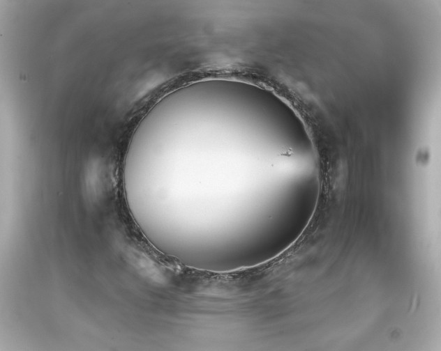 X0000092081206200709121437