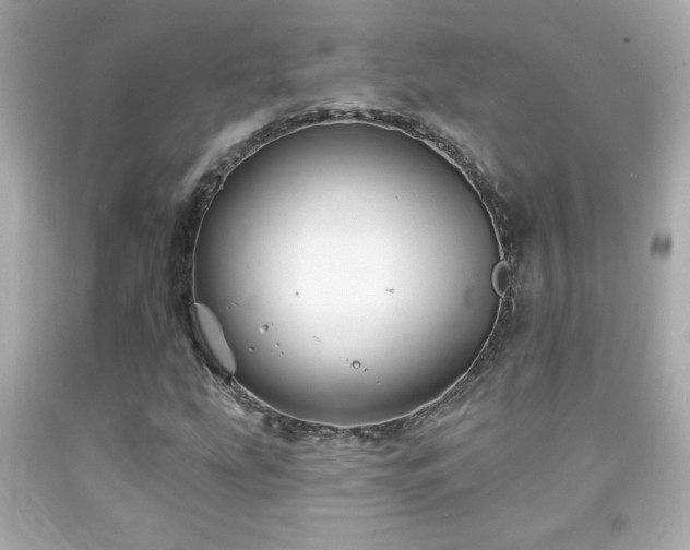 X0000092081207200709121437