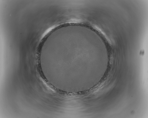 X0000092081208200709121437