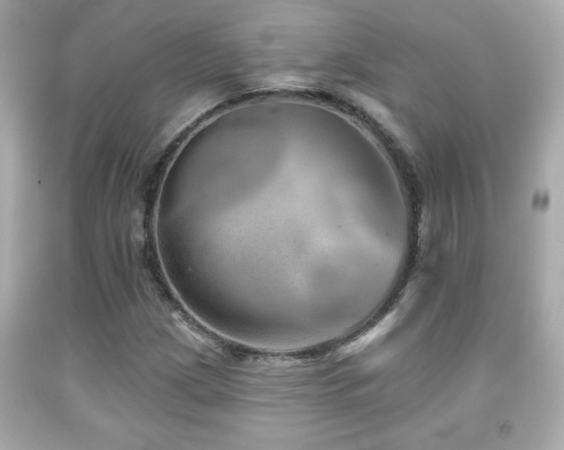 X0000092081209200709121437