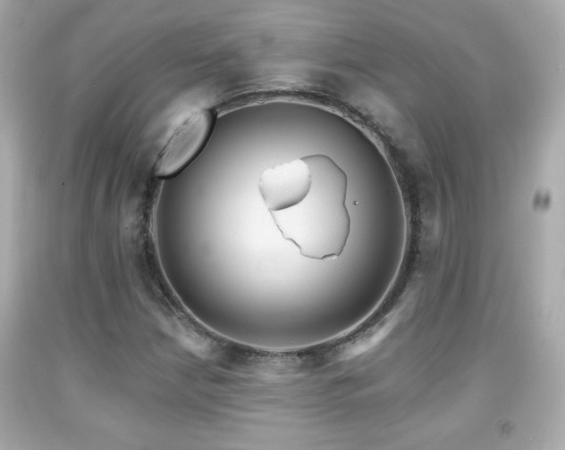 X0000092081210200709121437