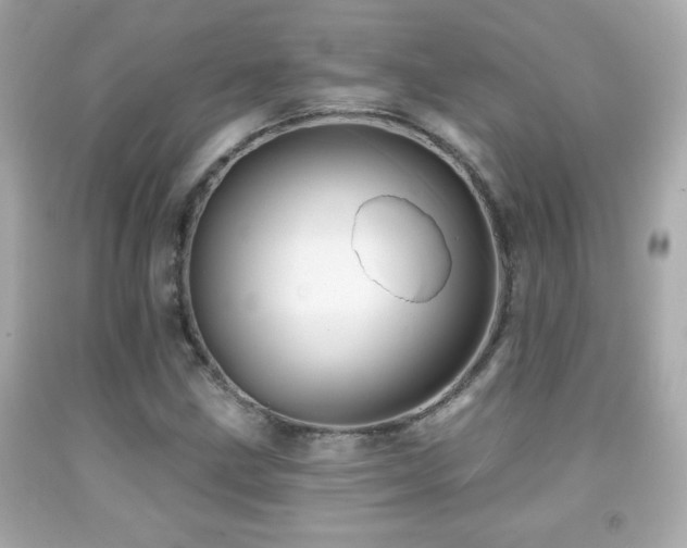 X0000092081211200709121437