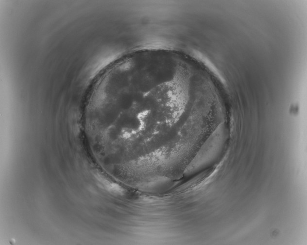 X0000092081213200709121437