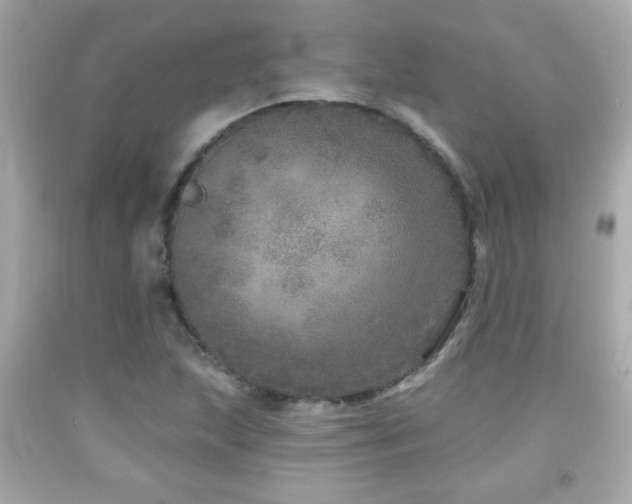 X0000092081215200709121437