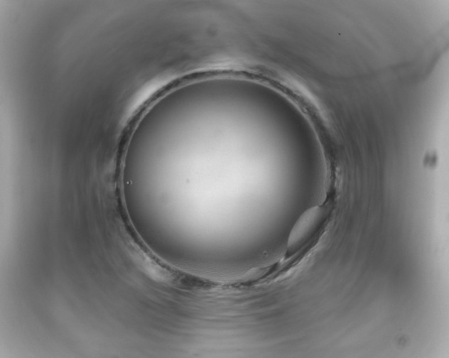 X0000092081216200709121437