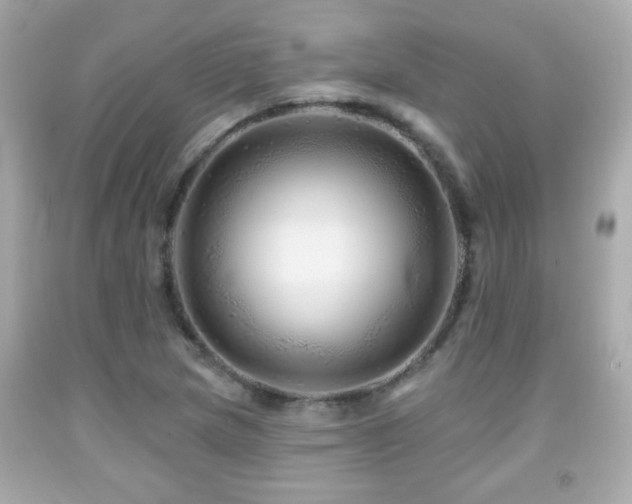 X0000092081217200709121437