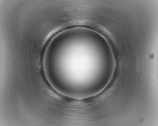 X0000092081218200709121437