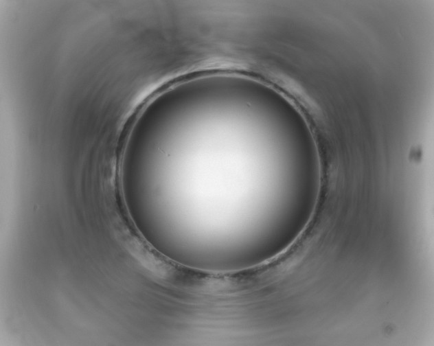 X0000092081220200709121438