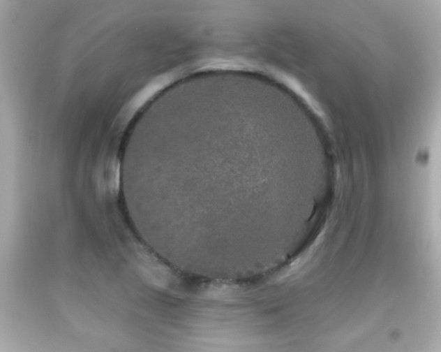 X0000092081221200709121438