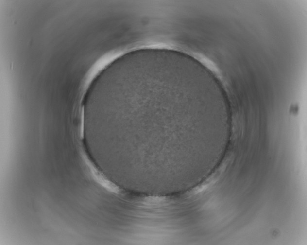 X0000092081223200709121438