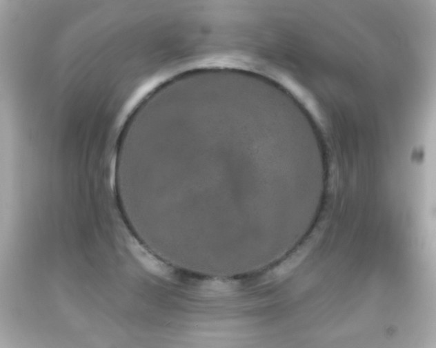 X0000092081224200709121438
