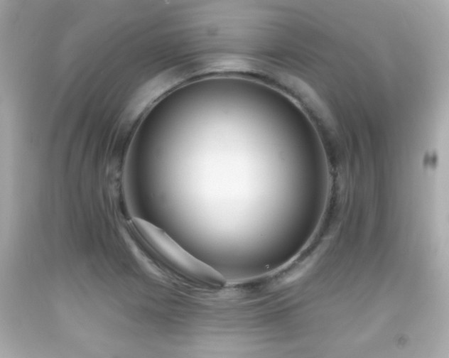 X0000092081225200709121438