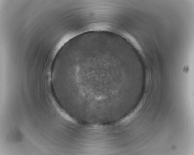 X0000092081226200709121438