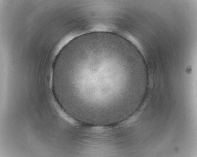 X0000092081227200709121438
