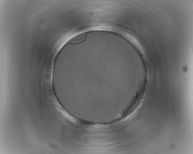 X0000092081228200709121438