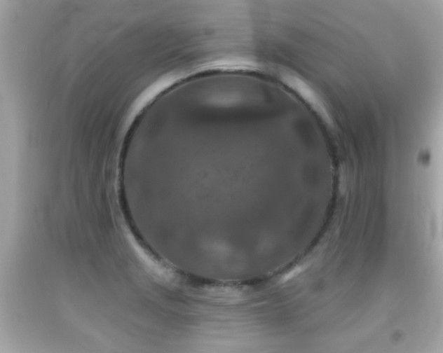 X0000092081229200709121438