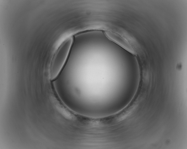 X0000092081230200709121438