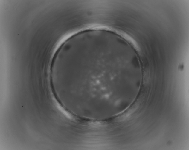 X0000092081231200709121438