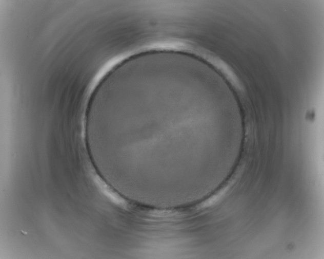 X0000092081232200709121438