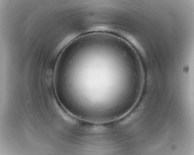X0000092081233200709121438