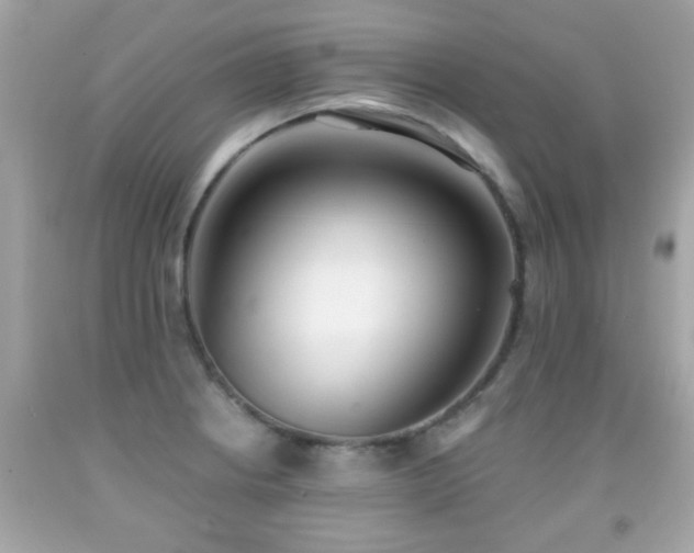 X0000092081234200709121438