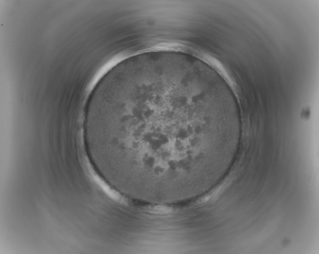 X0000092081235200709121438