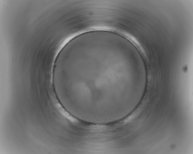 X0000092081236200709121438