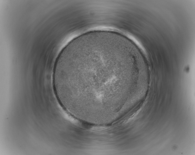 X0000092081237200709121438