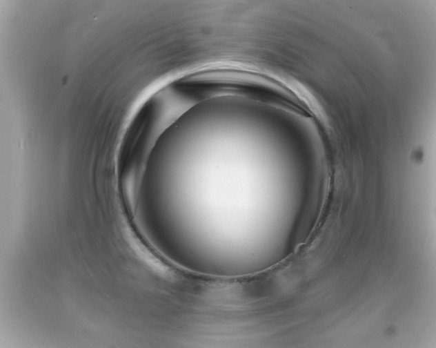 X0000092081238200709121438