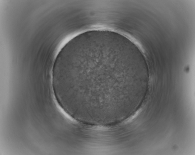 X0000092081239200709121438